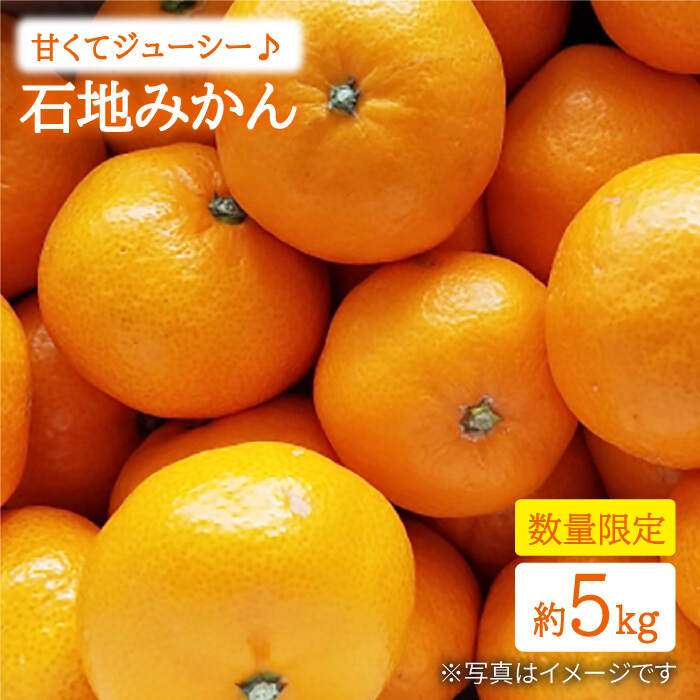 【ふるさと納税】【数量限定】【甘くてジューシー♪】石地みかん 約5kg＜中尾果樹園＞ [CEL002] みかん 蜜柑 ミカン 西海みかん 温州みかん 果物 フルーツ 贈答 ギフト プレゼント 甘い ジューシー