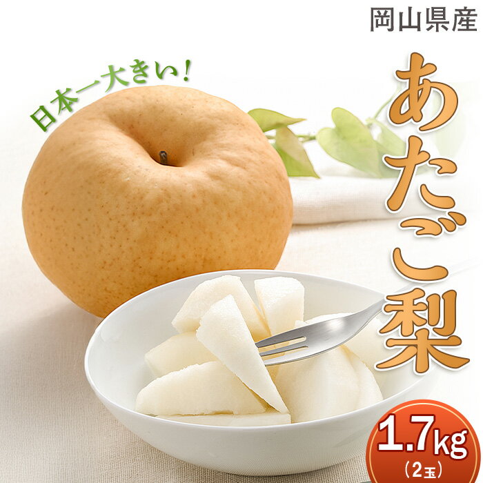 【ふるさと納税】岡山県産 梨 なし あたご梨 愛宕梨 果物 スイーツ フルーツ お取り寄せ ギフト 贈答用 デザート 旬 あたご梨 2玉（約1.7kg）化粧箱入り