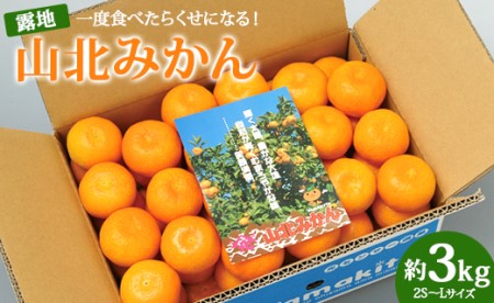 【ブランドみかん】山北みかん 約3kg 【国産みかん 温州みかん  みかん 露地みかん 小玉みかん 高知県産みかん 甘いみかん おすすめみかん】 ku-0019