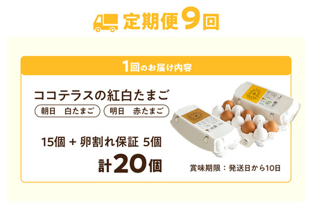 【9ヵ月定期便】ココテラスの紅白たまご　15個 + 5個保証（計20個）【JGAP認証】 農家直送 新鮮 卵 タマゴ 赤卵 白卵 玉子 鶏卵 朝食 夕食 夜食 朝ごはん たまご焼き だし巻き卵 オムレ