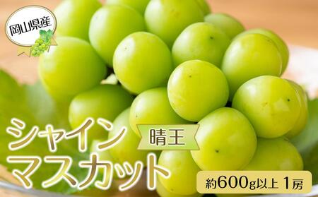 岡山県産 ぶどう 2024年 先行予約 シャインマスカット 晴王 600g以上 1房 種無し ブドウ 葡萄 フルーツ 果物 ギフト [No.5220-1654]