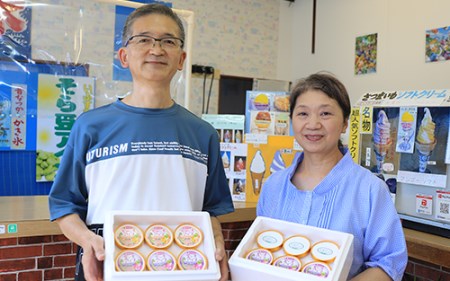 こだわりの逸品 特別な 紫いも アイス と スイーツ そら豆 アイス の8個セット(イッシーホンポ/010-178) そらまめアイスクリーム ソラマメアイス ご当地 アイス