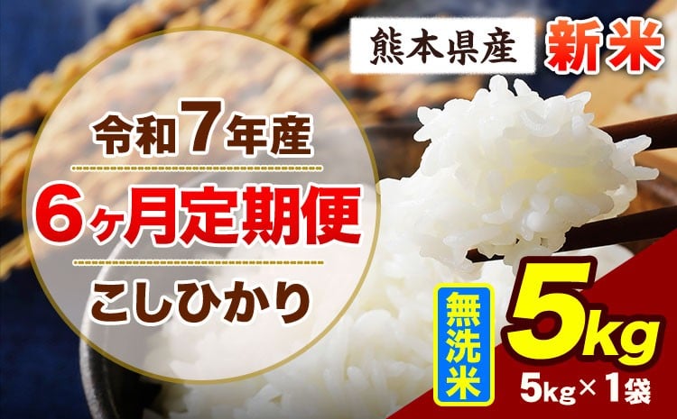 
            【6ヶ月定期便】令和7年産 定期便 こしひかり 5kg 新米 無洗米 阿蘇 うぶやま 米 定期便 熊本県産 ふるさと納税 精米 ひの 米 こめ ふるさとのうぜい コシヒカリ コメ お米 おこめ《申込み翌月から出荷》
          