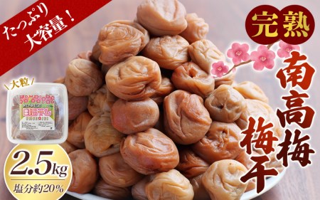 梅干し 無添加 完熟南高梅  2.5kg (1.25kg×2P) 塩分約20％ 梅干し【njb647A】