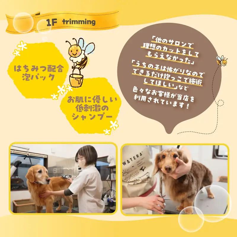 【TOWATERAメンバーズ】ドッグラン、ペットホテルなどをお得に利用できる「トワるん」会員入会| ペット 常滑市