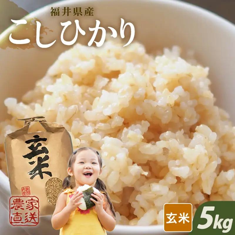 【先行予約】【令和8年産・新米】【玄米 5kg】 コシヒカリ 5kg 【2026年10月上旬以降順次発送】 [A-8993_02]