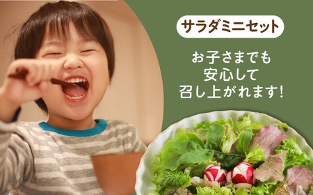 ＜植物性で育てた葉野菜ブランド＞ サガンベジオーガニックサラダミニセット 7種×1パック 有機JAS 佐賀県/株式会社サガンベジ[41ANCH001]