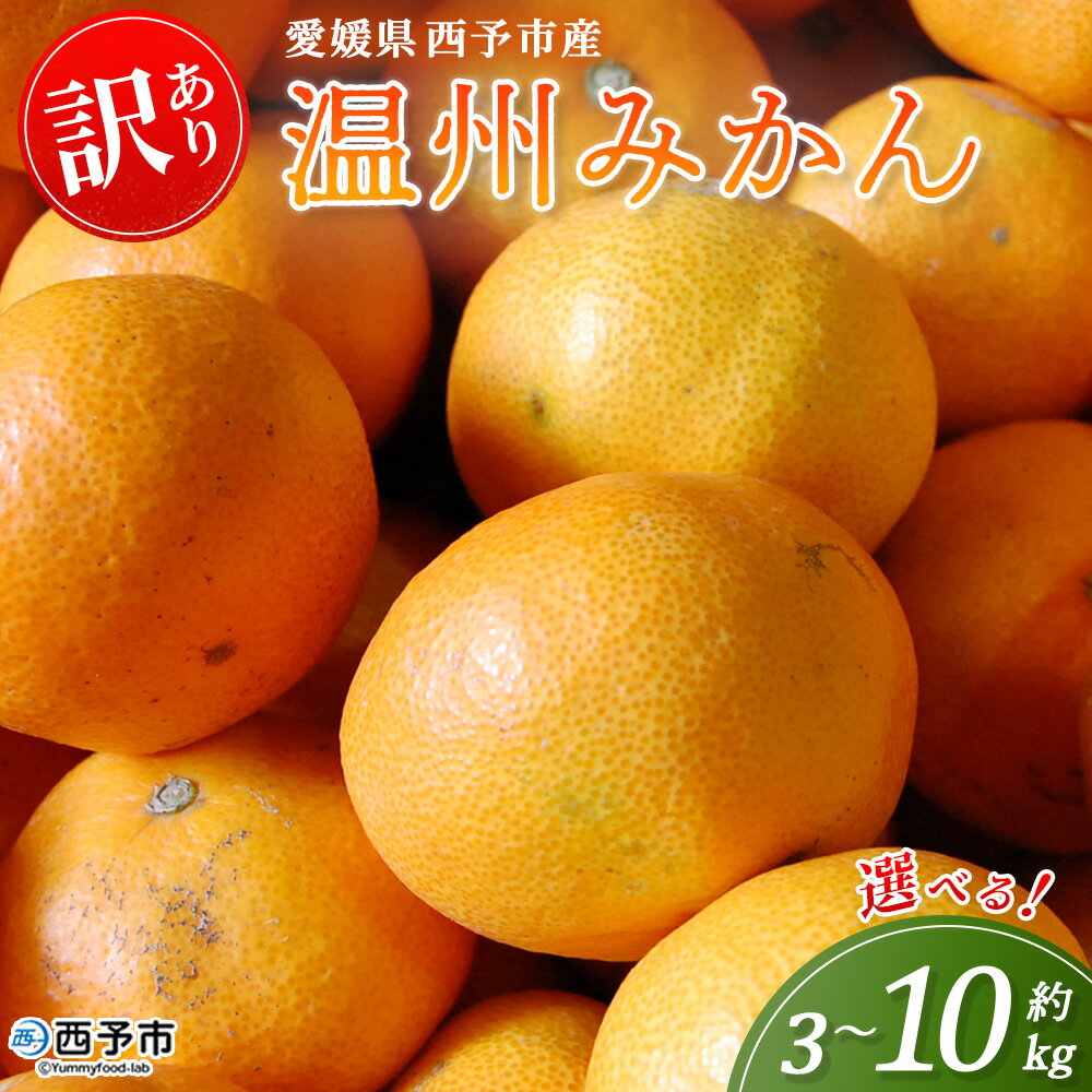 【ふるさと納税】【緊急豊作対応】＜西予市産 温州みかん 訳あり 約3kg/5kg/10kg＞ 選べる 蜜柑 ミカン みかん 果物 フルーツ 柑橘 国産 愛媛県産 ご家庭用 自宅用 特産品 丸二青果 愛媛県 西予市【常温】『2025年11月〜2026年1月迄に順次出荷予定』