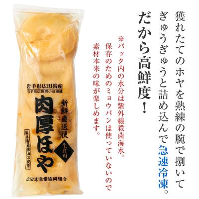 ふるさと納税 陸前高田市 【かき小屋広田湾】冷凍ほや300g×3袋 |  | 01