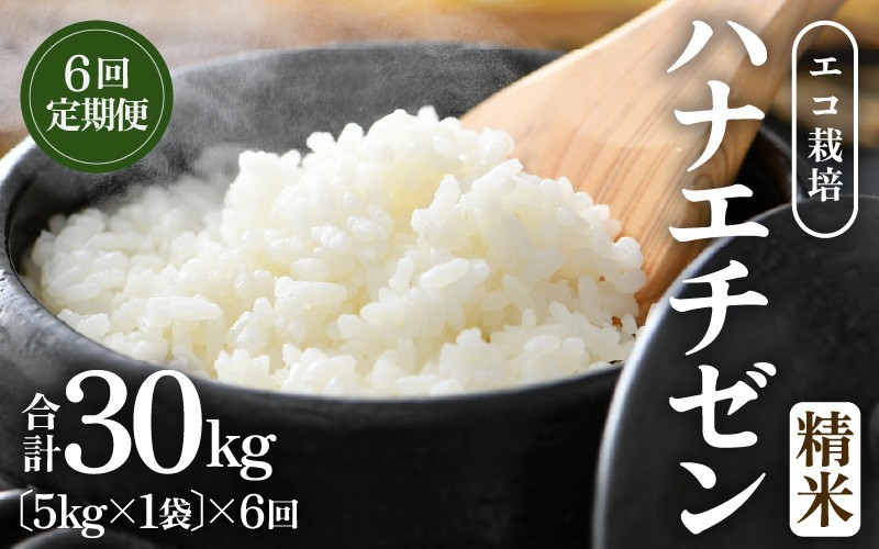 
                  【先行予約】【令和8年産 新米】【一等米】 定期便 ≪6ヶ月連続お届け≫ エコ栽培ハナエチゼン  白米5kg×6回 計30kg ／ 鮮度抜群 福井県産 はなえちぜん ご飯 新鮮 白米 ※2026年9月上旬以降順次発送予定 [aw063-d006]
                