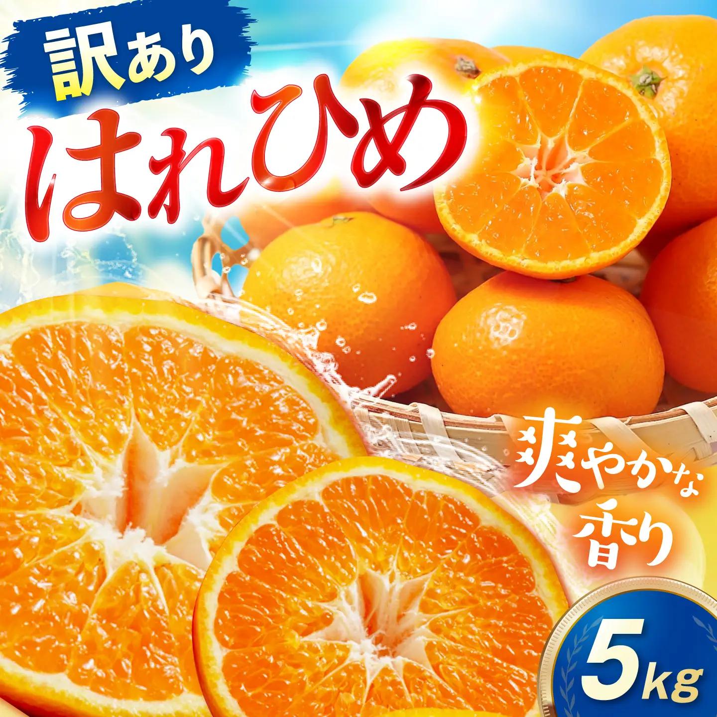 みかん 訳あり はれひめ 約5kg サイズ不揃い【12月上旬から翌年1月上旬まで順次発送】 / フルーツ 果物 蜜柑 ミカン オレンジ 訳あり 訳アリ 小玉 甘い 先行予約 5kg 愛媛 / 愛媛県砥部町/えひめ農園組合[BJAZ019]