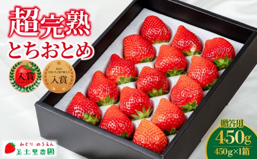 いちご「茂木完熟いちご」第1回いちご選手権入賞 とちおとめ ギフト 450g ×1箱 【3月以降発送】| いちご イチゴ 苺 とちおとめ 第1回いちご選手権入賞  ブランドいちご ストロベリー 完熟 甘い あまい 果物 フルーツ くだもの 旬 産地直送 栃木県産 贈答 ギフト プレゼント 美土里農園 栃木県 茂木町
