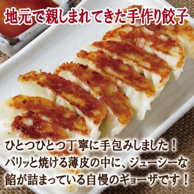 ふるさと納税 泉佐野市 【毎月定期便】【合計1000個以上】餃子三昧 自家製 薄皮 手作り 全12回 099Z335 |  | 01