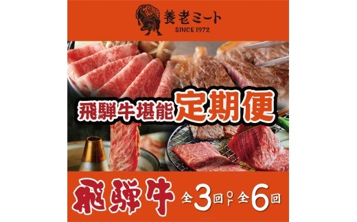 
                  ＼選べる回数／月替わりで色々な飛騨牛を楽しめる
                