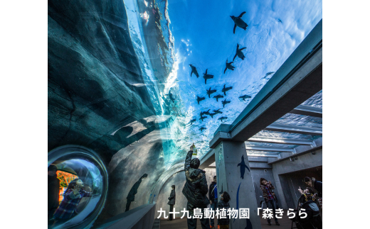 H147 海きらら･森きらら入場引換券(大人4名)