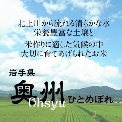ふるさと納税 奥州市 奥州市産ひとめぼれ無洗米5kg×4袋 計20kg  [BC002] |  | 01
