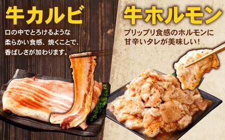 お試し！バラエティパック （ 牛ハラミ ・ 豚ハラミ ・ タレ漬け牛カルビ ・ タレ漬け牛ホルモン ） 各約250g×1パック 計約1.0kg ハラミ カルビ 牛カルビ ホルモン 牛ホルモン タレ漬け