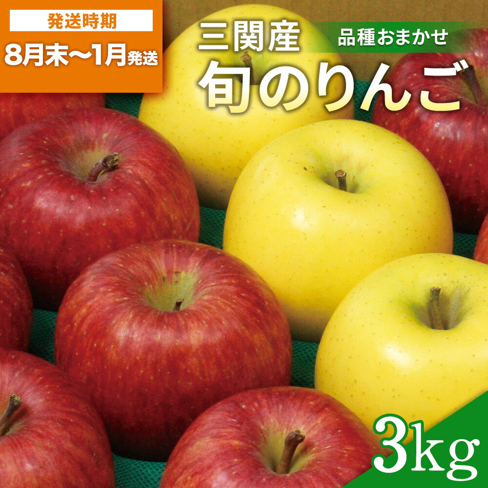【ふるさと納税】三関旬のりんご 秀品 3kg （8玉〜12玉） 満杯詰め 三関産 旬 りんご 品種お任せ 果物 フルーツ 秋田県 三関 【三関果樹研究会】[B151023]