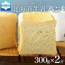 【ふるさと納税】 パン 300g 2個 プレーン 牛乳パン 食パン 冷凍パン デニッシュ トースト ベーカリー 冷凍 北海道産 小麦 牛乳 朝食 軽食 ギフト フーズ＆ブレッド 北海道 札幌市