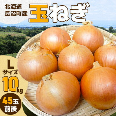 【ふるさと納税】北海道長沼町産玉ねぎLサイズ 10kg【1693736】