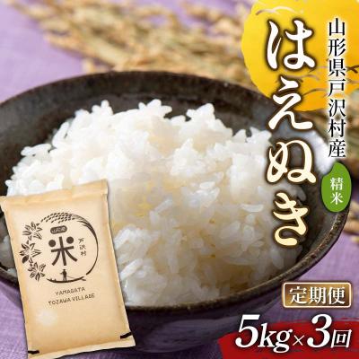 ふるさと納税 戸沢村 【定期便3回】令和7年度 山形県戸沢村産 はえぬき 5kg×3回 合計15kg F7W-0227