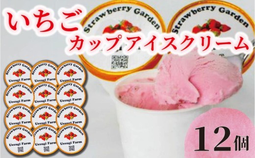 いちご農家のひんやりアイス カップアイス12カップ いちご 苺 イチゴ いちごアイスクリーム アイス アイスクリーム カップアイス 冷たい ひんやり セット 人気 おすすめ ふるさと納税 京都 八幡 八幡市 上杉農園