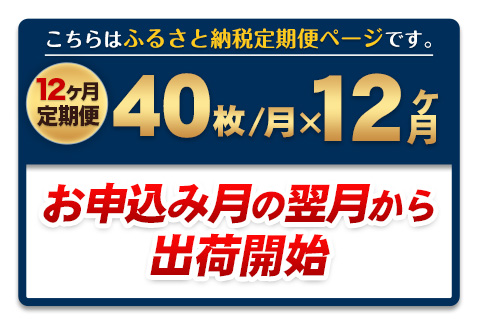 【12ヶ月定期便】訳あり一番摘み有明海産海苔40枚  《お申込み月の翌月から出荷開始》熊本県産（有明海産）全形40枚入り ---fn_noritei_24_64500_40m_mo12num1---