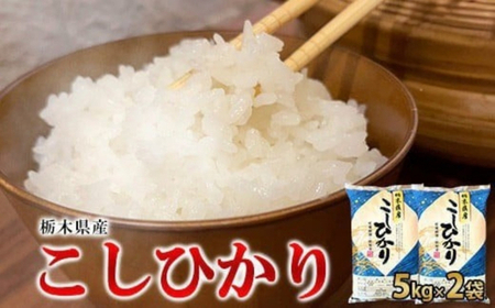【令和7年産】栃木県産こしひかり10kg（精米・5kg×2袋）　※離島への配送不可