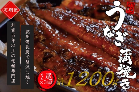 【全3回定期便】極上！国産うなぎ蒲焼 2尾×3回 計6尾 約1200g【tkb318】