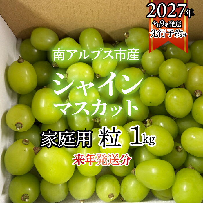 【ふるさと納税】＜2027年発送先行予約＞南アルプス市産シャインマスカット家庭用　粒1kg ふるさと納税 おすすめ 山梨県 南アルプス市 送料無料 ALPAG012