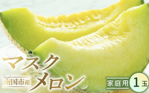 家庭用 メロン 1玉 | マスクメロン 1個 フルーツ 果物 厳選 高級 青肉メロン 人気 デザート ギフト プレゼント 贈り物 くだもの 旬 お取り寄せ 訳アリメロン 甘い 青肉 メロン 高糖度メロン 先行予約 訳あり 産地直送メロン 訳ありメロン 1万円 10000 円 西島園芸団地 高知県 南国市 NE021