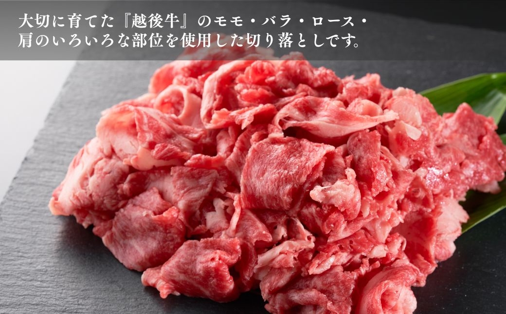 おいしいお肉＝肉色、霜降り、歯ごたえ、脂肪の旨み＝越後牛