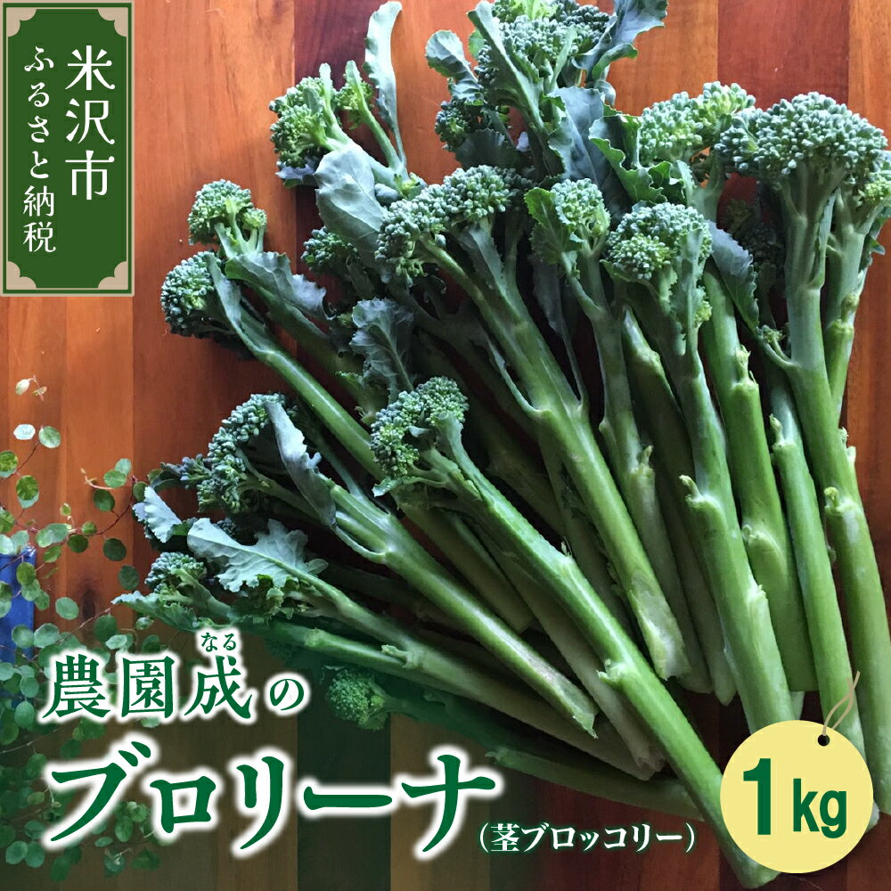 【ふるさと納税】【 令和7年産 】 ブロリーナ 1kg （ 茎ブロッコリー ） 〔 2025年 9月～発送予定 〕 スティックセニョール スティック ブロッコリー 野菜 産地直送 農家直送 2025年産