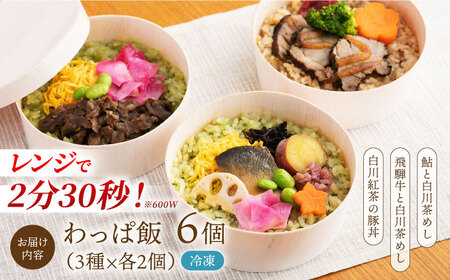 白川茶香る わっぱ飯 3種×2個 / 冷凍 鮎 飛騨牛 豚丼 / 一力屋 / 白川町 [AWAE006]
