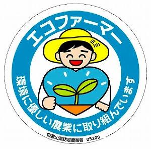 採れたてタネなし柿“Lサイズ”7.5kg＜2025年10月中旬～10月下旬頃発送予定＞【ART17】