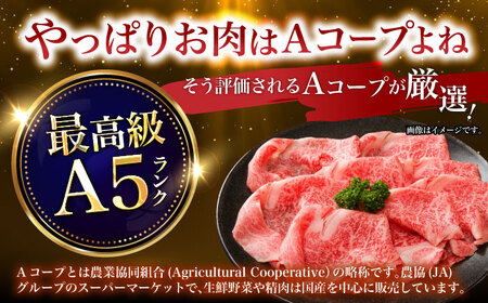 【6回定期便】長崎和牛すきやき・ステーキセット　計800g / 牛肉 ロース ろーす すきやき すき焼き ステーキ すてーき 長崎和牛 / 諫早市 / 長崎県央農業協同組合　Aコープ本部　[AHAA0