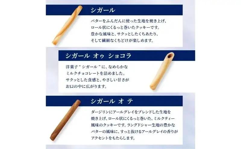 ヨックモック セット デリス 12箱 | 66個入り yokumoku