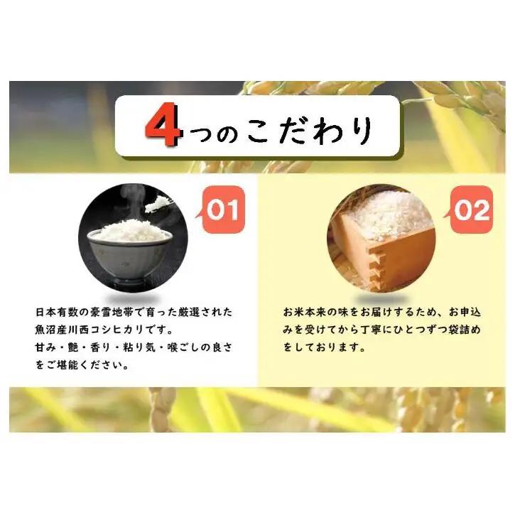 令和8年産　先行予約【定期便／全12回】無洗米 魚沼産コシヒカリ2合×10袋 〈令和8年10月下旬～発送予定〉