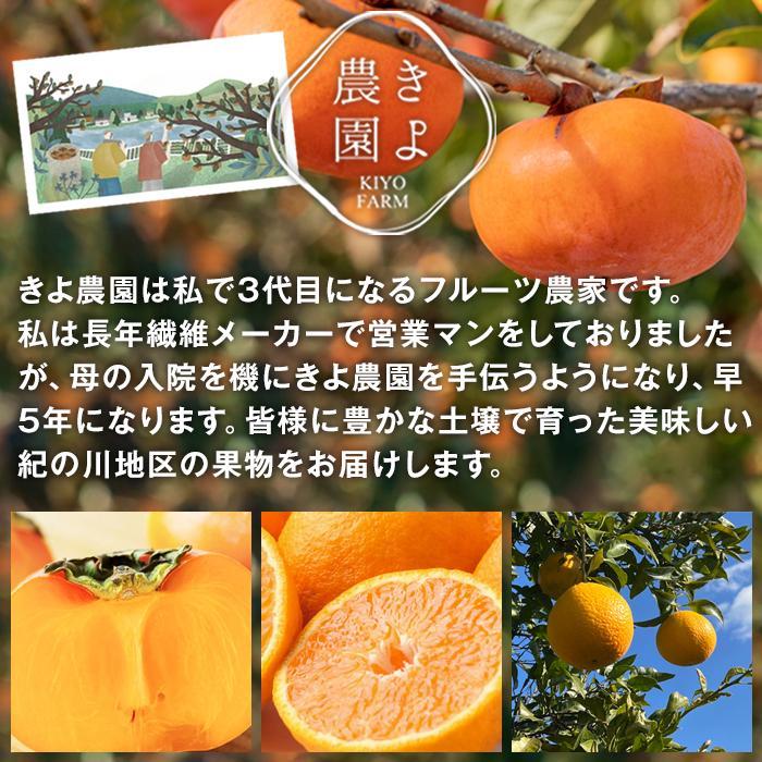 柿(種無し) 6個入 (約2kg)  秀品大玉【2025年9月下旬頃より発送】【KT1】　XN90001_イメージ3