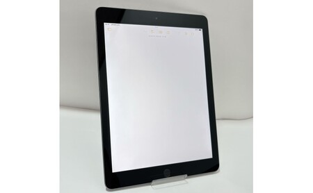 【ふるなびWEEK対象】【ふるさと納税】iPad 第6世代 32GB Wi-Fiモデル（スペースグレー） Apple 中古品
