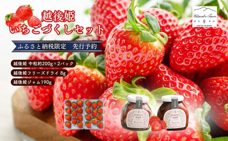 【ふるさと納税限定 苺ジャムと苺のフリーズドライをセットにしました】越後姫 中粒 約200g×2パック (18～22粒入り)フリーズドライとジャムのセット イチゴ 苺 上越市 新潟 渡辺農園