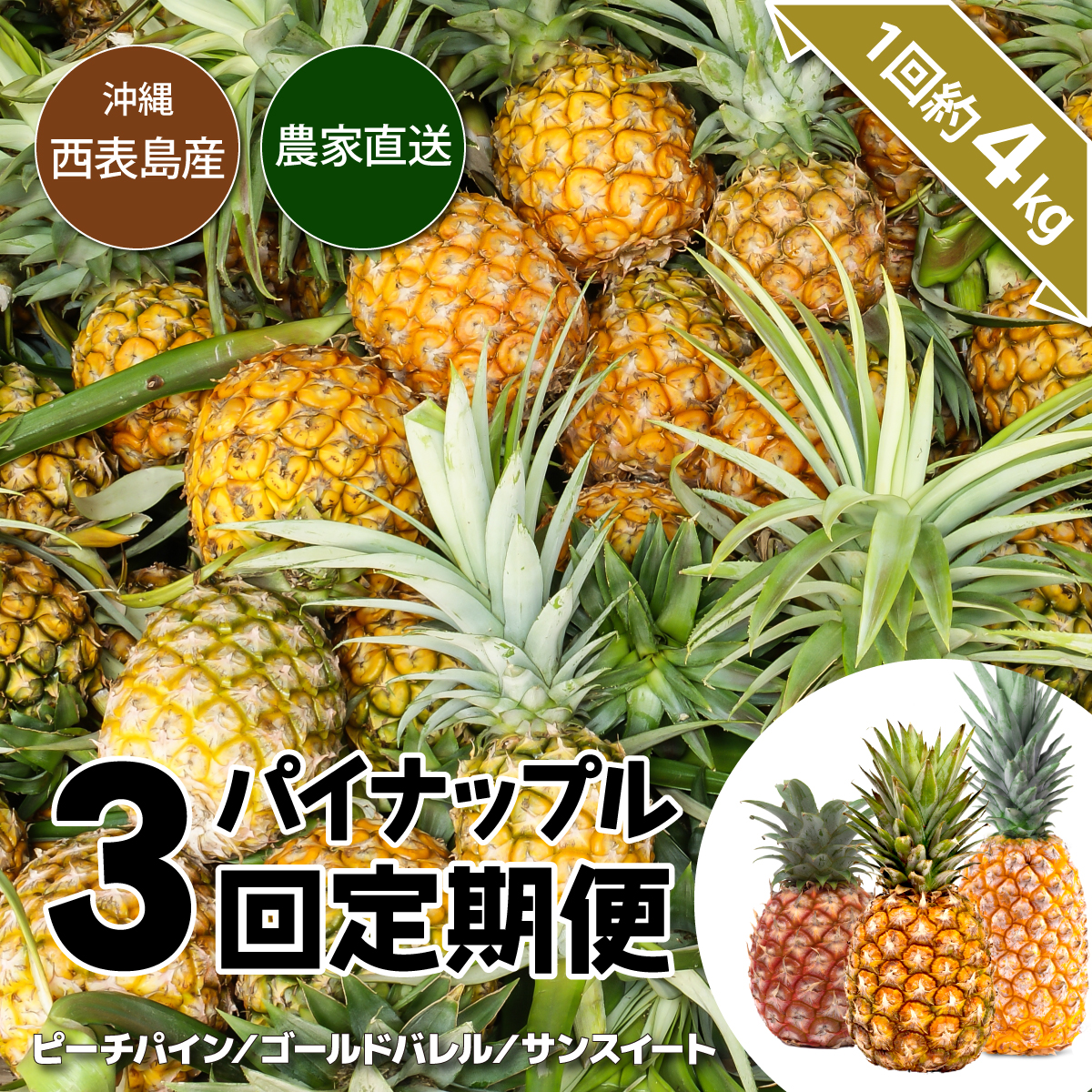 【2026年5月～7月（全3回発送）】南国の美味しさを！パイナップル 定期便 B[022-a004_2026]