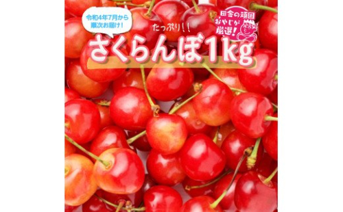 たっぷりさくらんぼ1kg【令和4年7月から順次お届け】田舎の頑固おやじが厳選！ [BI168-NT]