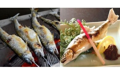107008　奈半利川の友釣り天然アユ５尾と奈半利川の天然アメゴ５尾セット（冷凍）