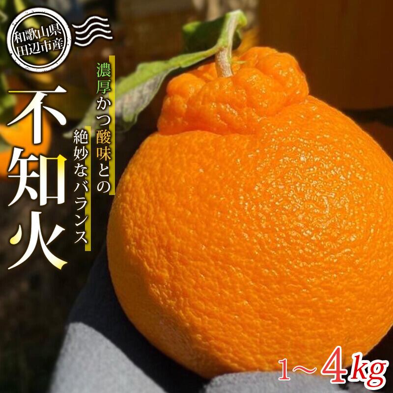 【ふるさと納税】【先行予約】不知火 【選べる容量】 1kg 4kg 【先行予約】※2026年3月から順次発送予定※ / みかん 蜜柑 ミカン 和歌山県 しらぬい デコポン フルーツ 果物 柑橘 田辺市