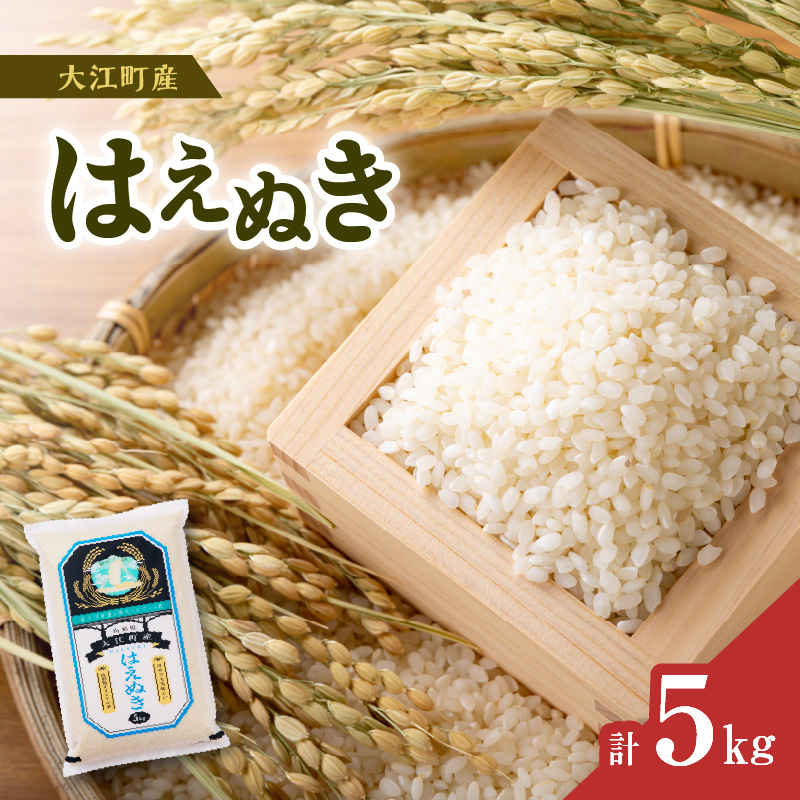 【令和6年度産米】新米 大江町産 はえぬき 5kg【山形県産】【2024年度産米】