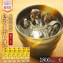 【ふるさと納税】奄美黒糖焼酎 島のナポレオン 紙パック 25度 1800ml×6本 セット 奄美 黒糖焼酎 ギフト 奄美大島 お土産 | お酒 アルコール 酒 鹿児島 九州 焼酎 お取り寄せ セット