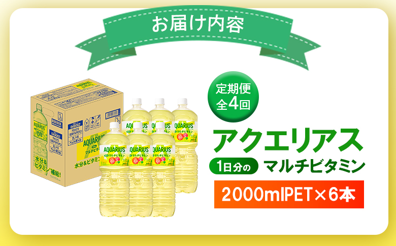 【定期便：全4回】アクエリアス 1日分のマルチビタミン　2LPET×6本【380088】_イメージ4