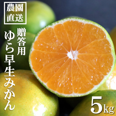【先行受付】和歌山産　ゆら早生みかん　贈答用　秀品　約5kg箱入り　2S～2Lサイズ【1482414】