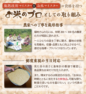 人気沸騰の米 令和7年産 岩手県奥州市産ひとめぼれ 白米 6kg [AC014]